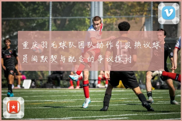 重庆羽毛球队团队协作引发热议球员间默契与配合的争议探讨