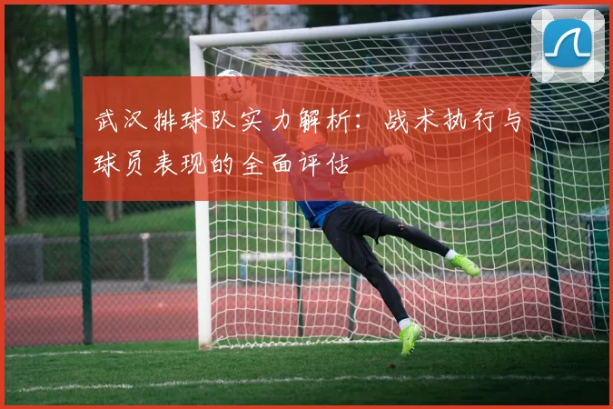 武汉排球队实力解析：战术执行与球员表现的全面评估