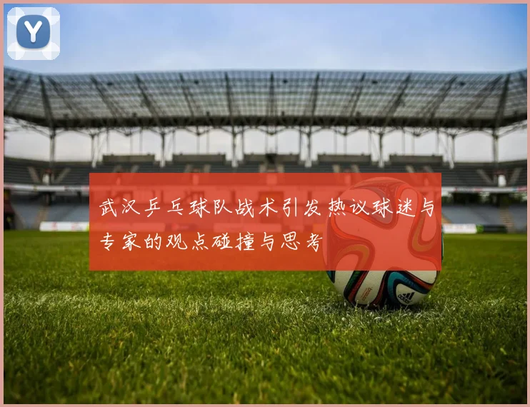 武汉乒乓球队战术引发热议球迷与专家的观点碰撞与思考