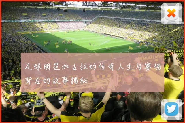 足球明星加古拉的传奇人生与赛场背后的故事揭秘