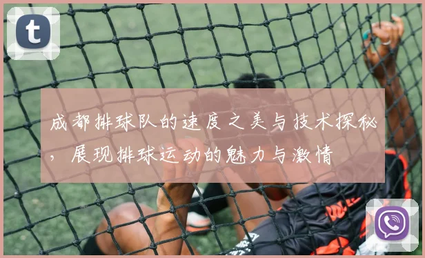 成都排球队的速度之美与技术探秘，展现排球运动的魅力与激情