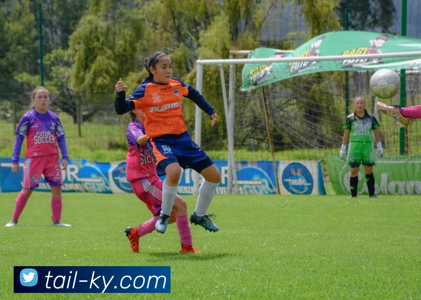 开云登录服务体系